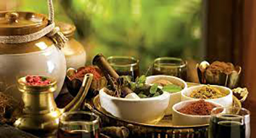 Ayurveda Industry